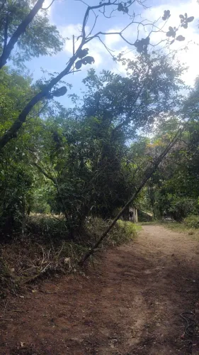 Área de quase 8 mil M2 podendo desmatar até 60 por cento da Área.