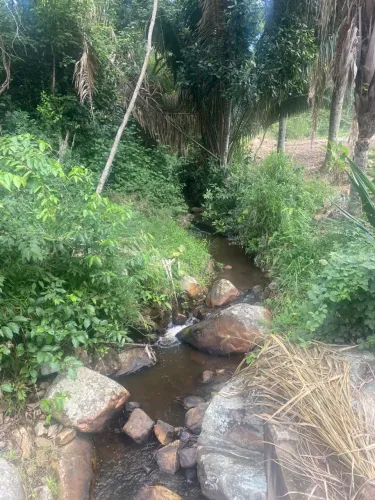 Terreno em Jacobina - Grota da fazendinha