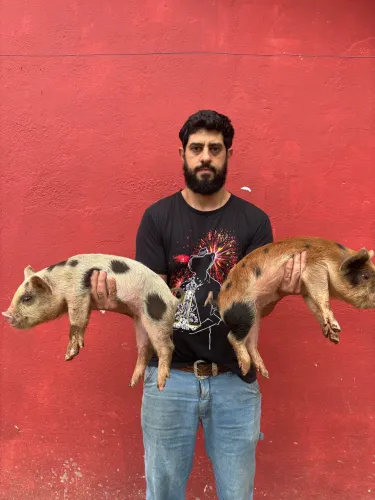Leitão
