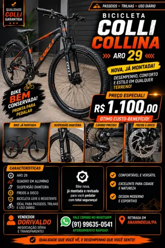 Bicicleta Colli Collina Aro 29 (Nova e Montada)