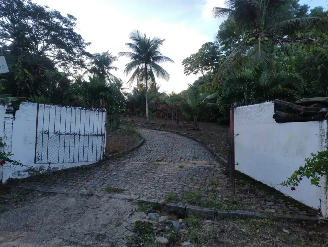 VENDO EXCELENTE SITIO EM MURIBECA, 2,8 HECTARES, ACESSO PELA MURIBECA RUA, 2 CASAS, PISCIN