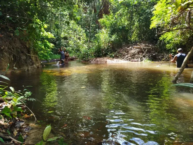 PROPRIEDADE RURAL À VENDA MORROS/MA