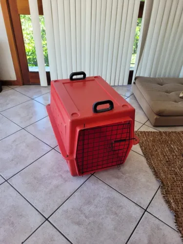 Caixa de transporte para cachorro