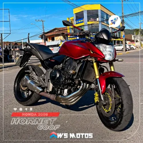 Hornet 600