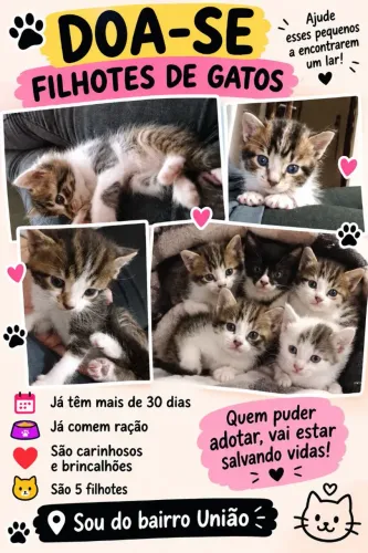 Doa se gatinhos