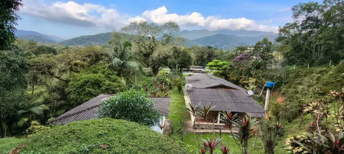 Chácara na BR 277 km 31 com 90 metros de frente casa muito boa, pronta para morar terreno