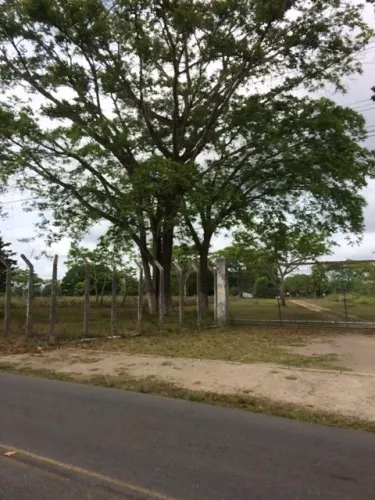 Melhor Área 11 Hectares Industrial, 241m de Beira, Pista Guabiraba, Instalação Empresas