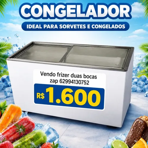 Vendo frizer duas bocas gelando bem *w