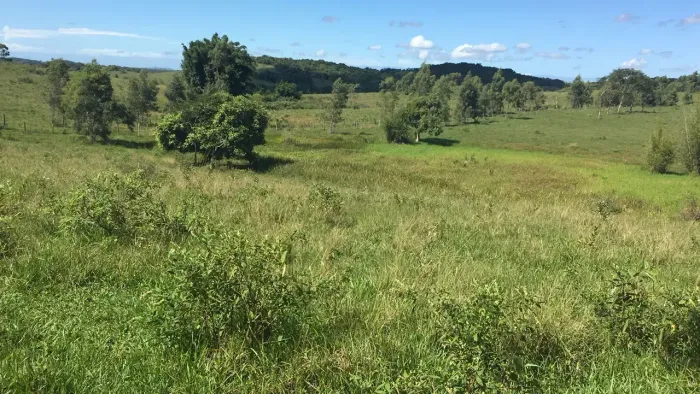 FAZENDO PEROBAS À VENDA EM ARARUAMA- RJ