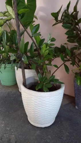 Itens disponíveis pra venda.