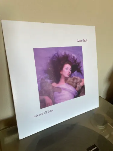 Disco Kate Bush - Hounds of love
