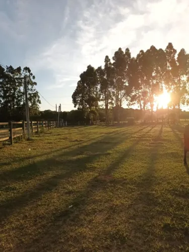 Sítio com 2 Hectares - Localização Estratégica