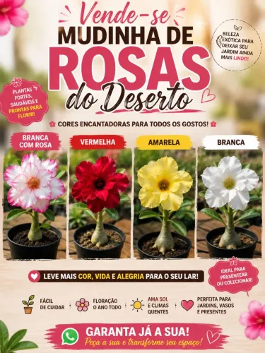 Rosas do deserto