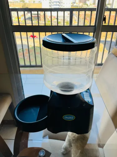 Comedouro automático da Chalesco para cães e gatos 