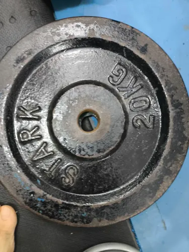 Par de anilhas de 20 kg