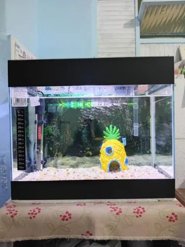 Aquário 15 litros completo