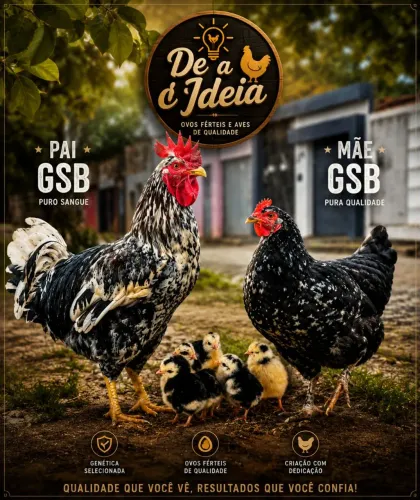 0vos férteis da raça GSB