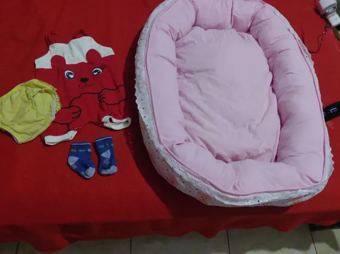 Ninho feminino
