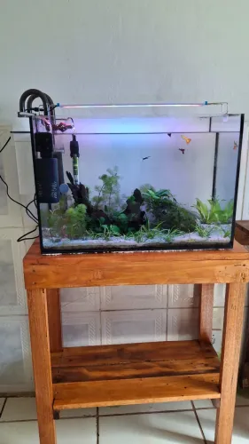 Aquario