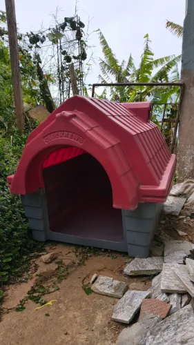 Casinho para cachorro médio