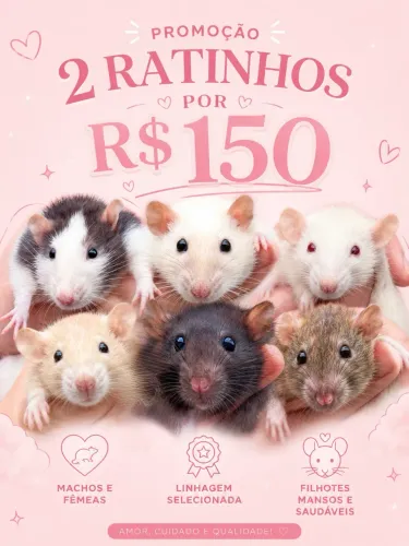 Ratos Twister 