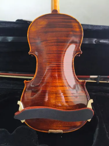 Violino Eagle vk 544