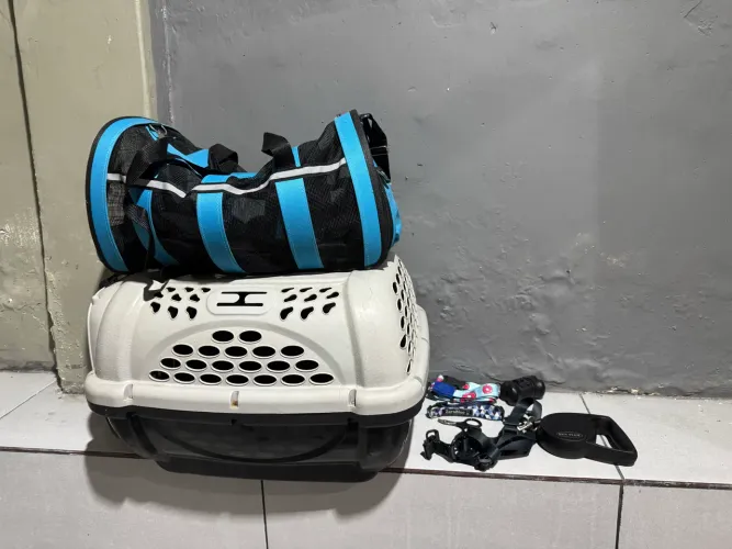 Caixa de tranporte e itens de passeio PET