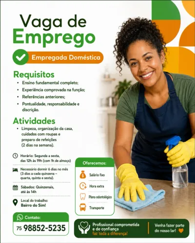 Diarista e Domestica