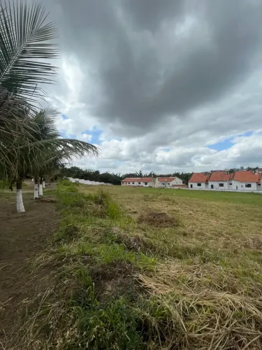 Excelente área para verticalização.