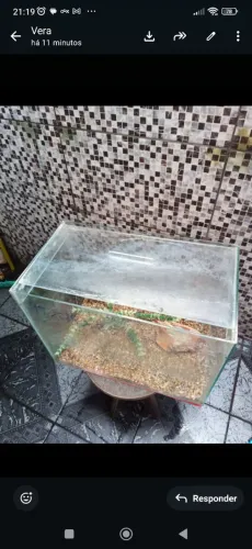 Aquário