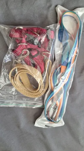 Kit guia e coleira para pets