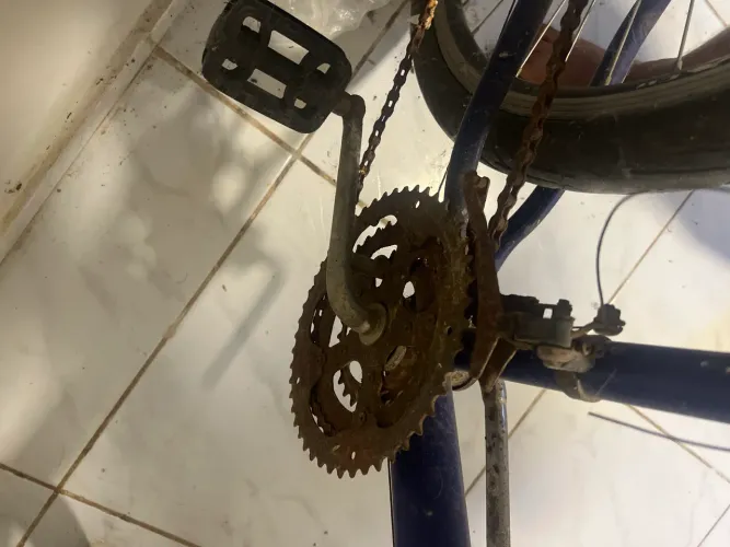 Bicicleta