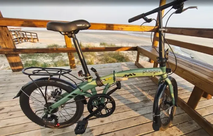 Bicicleta Dobrável Pliage Plus Two Dogs Aro 20 Shimano 7v - Verde