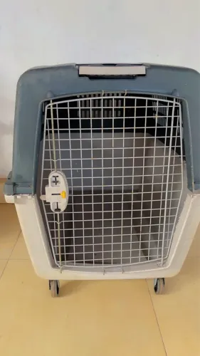 Casinha de cachorro