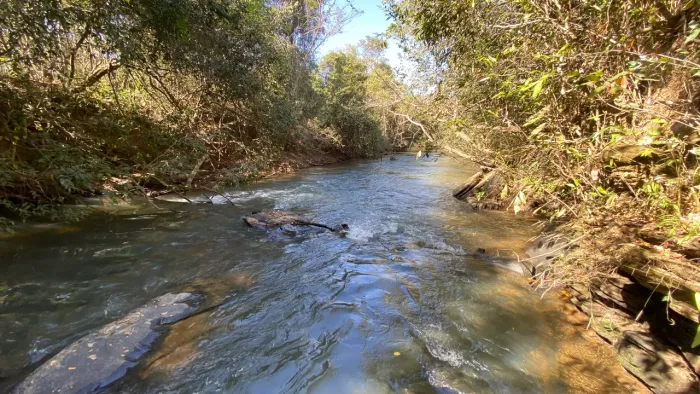 Chacara de 20mil mt em Cristianopolis com rio passa 4 no fundo!