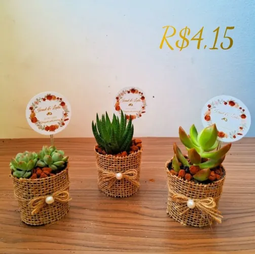 Lembrancinhas personalizadas suculentas