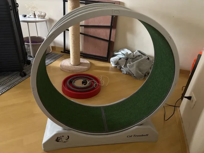 Roda para Gatos