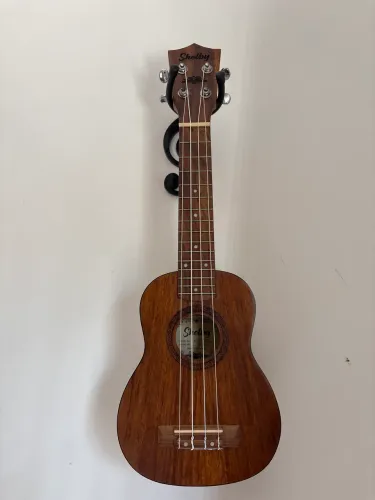 Ukulele Shelby Concert