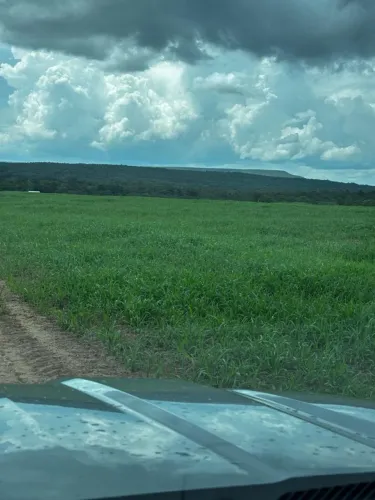 Fazenda 2700 hectares 