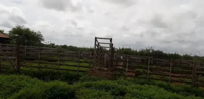Linda Fazenda com 500 hectares na região de Parazinho com projeto de 9 torres eólica
