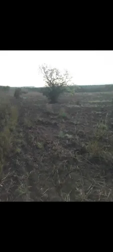 Chácara 7 alqueires 