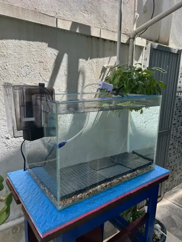 Aquário novíssimo