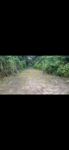 Vende-se terreno próximo de Capanema-Pa, com título definitivo.