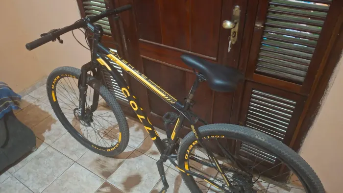 Bicicleta Colli ARO 29