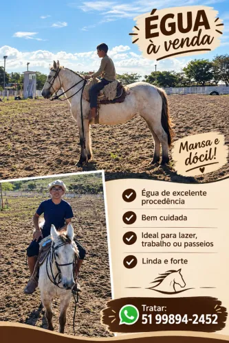 Egua