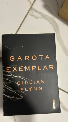 Livro garota exemplar 