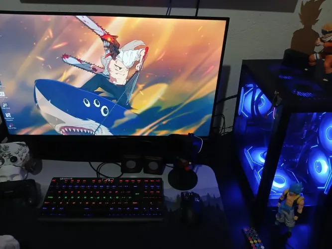 PC gamer