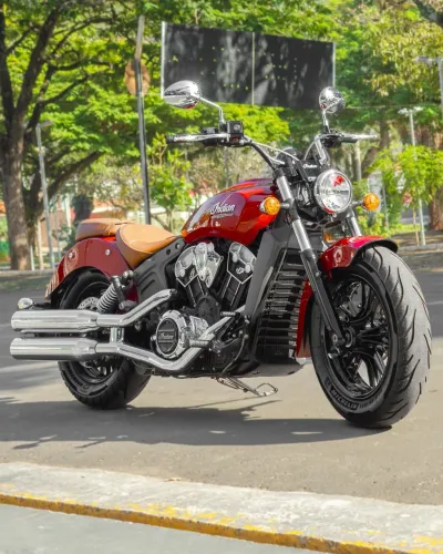 Indian Scout Scout