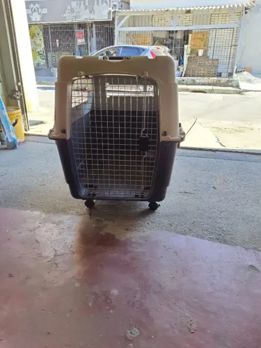 Caixa de Transporte de Animais