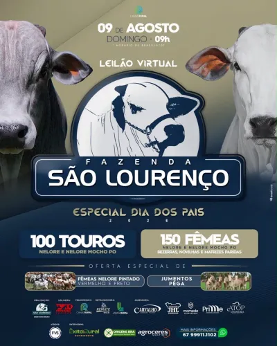 Leilão dia 09/08 Entrega grátis para todo Brasil, nelore, nelore pintado, puganur